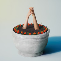 Aimyon - Marigold загрузить