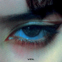 Akiaura - Veil Ft Olya Holiday загрузить
