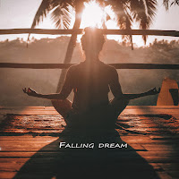 Anas Otman - Falling Dream загрузить