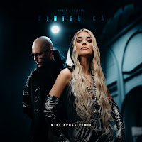 Andia - Pentru Ca (Mike Kross Remix) Ft Deliric загрузить