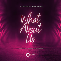 Andy Rozz - What About Us (Feat. Michaela Stridbeck) Ft Wild Spirit загрузить