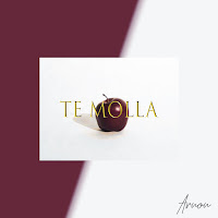 Arnon - Te Molla (Feat. Killua) загрузить