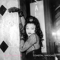 Blood Orange - Champagne Coast загрузить