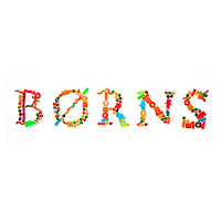 Børns - Electric Love загрузить