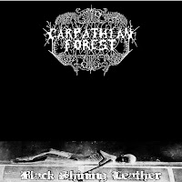 Carpathian Forest - In Silence I Observe   загрузить