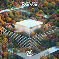 Dallerium - Your Name Ft Sk!N загрузить