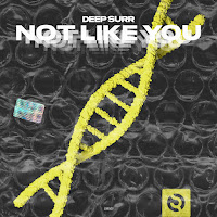 Deep Surr - Not Like You загрузить