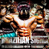 Dj Andrés Gallardo - Brazilian Sigma Ft Tokyosleep загрузить
