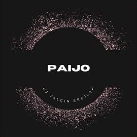 Dj Yalcin Erdilek - Paijo загрузить