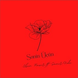 Elvin Nasir - Sənin Üçün (Feat. Samir Vida) загрузить