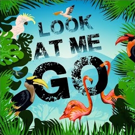 Erd1 - Look At Me Go загрузить