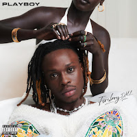 Fireboy Dml - Diana (Feat. Shenseea) Ft Chris Brown загрузить