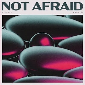 Hallman - Not Afraid загрузить
