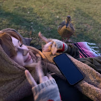 Обложка песни 