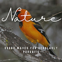 Inner Peace Channel - Study Moments In Intellectual Serenity Ft The Calm Factory & Solfeggio Frequencies Healing загрузить