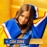 Iuliana Beregoi - Cum Suna Linistea загрузить