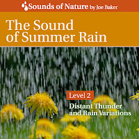 Joe Baker - The Sound Of Summer Rain загрузить
