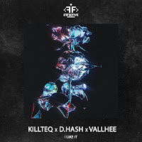 Killteq - I Like It Ft D.hash & Vallhee загрузить