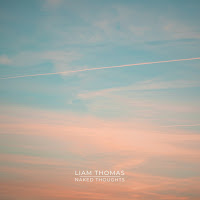 Liam Thomas - Naked Thoughts загрузить