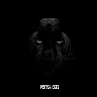 Maga - Notorious загрузить