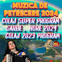 Mihai De La Ciocanesti - Program Sarbe Si Hore 2024 Colaj Ft Neluta Bucur & George Nicoloiu & Sorinel De La Plopeni загрузить