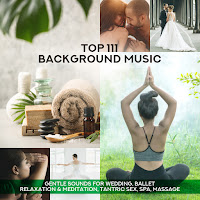 Mindfulness Meditation Music Spa Maestro - Strength Of Positive Attitude загрузить