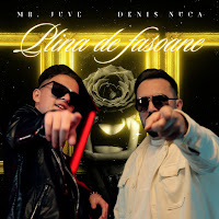 Mr. Juve - Plina De Fasoane (Feat. Denis Nuca) загрузить