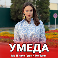Обложка песни 
