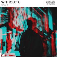 Niall T - Without U загрузить