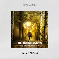 Nico Aviario - Following Waves загрузить