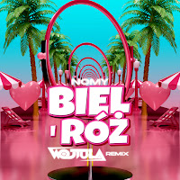 Nomy - Biel I Róż (Wojtula Remix) Ft Wojtula загрузить