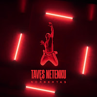 Norbertas - Tavęs Netenku загрузить