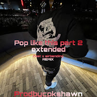 Prodbycpkshawn - Pop Like This Pt. 2 загрузить