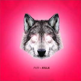 Puri - Killa загрузить