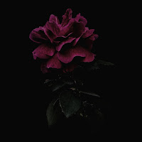 Rage Luv - Būti Šalia загрузить