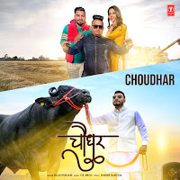 Raju Punjabi - Choudhar Ft V.r. Bros загрузить