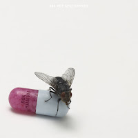 Red Hot Chili Peppers - The Adventures Of Rain Dance Maggie загрузить