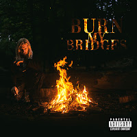 Redzed - Burn My Bridges загрузить