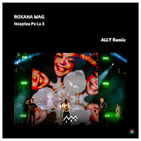Roxana Mag - Noaptea Pe La 3 (Ally Remix) загрузить