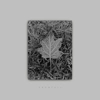 Samuel - Snowfall загрузить
