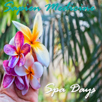 Sapien Medicine - Muscle Massage загрузить