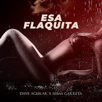 Sebas Garreta - Esa Flaquita Ft Dj Dave Aguilar загрузить