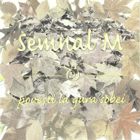 Semnal M - Poveşti La Gura Sobei загрузить