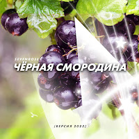 Sevenrose - Чёрная Смородина (Версия 2023) загрузить