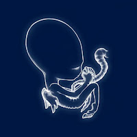 Sigur Rós - Olsen Olsen загрузить