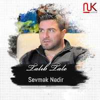 Talıb Tale - Sevmək Nədir загрузить