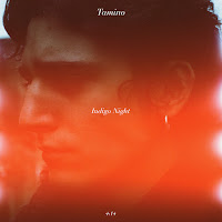 Tamino - Indigo Night загрузить