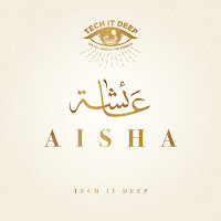 Tech It Deep - Aisha (Extended Mix) загрузить
