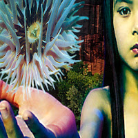 The Future Sound Of London - Ill Flower загрузить