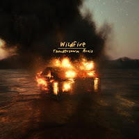 Thunderstorm Artis - Wildfire загрузить